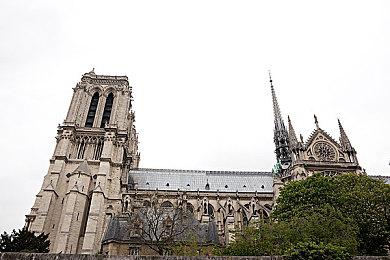 《真·女神转生Ⅴ Vengeance》最新宣传片公开！ 下载版全平台开启预购